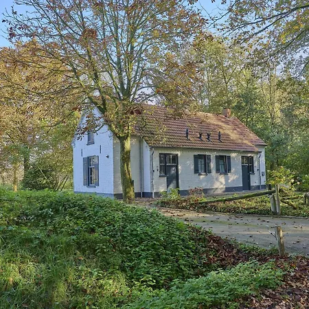 Bosbeertje 45 *