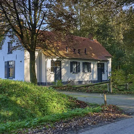 Bosbeertje 45