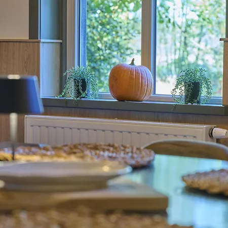 Ferienhaus Bosbeertje 45 Erp
