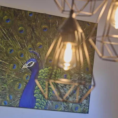 Bosbeertje 45 Ferienhaus