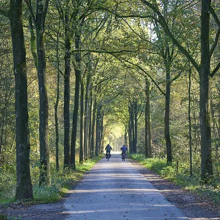 Bosbeertje 45 * Erp