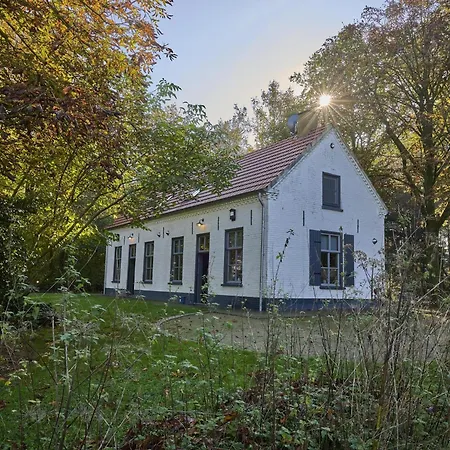 Bosbeertje 45 Ferienhaus Erp