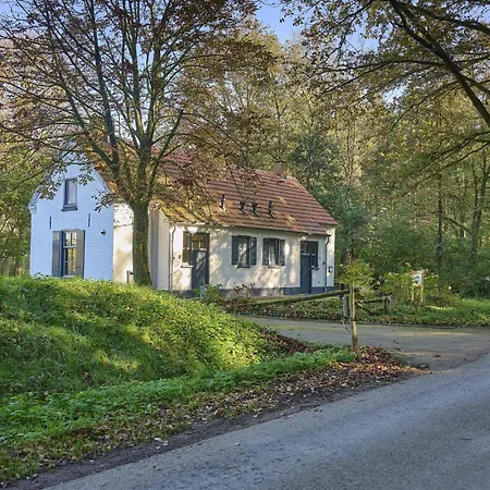 Bosbeertje 45