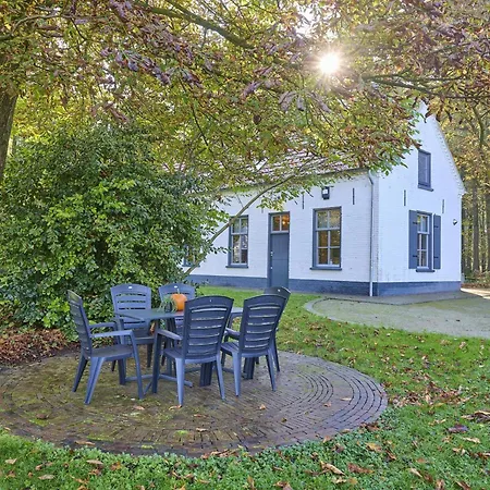 Ferienhaus Bosbeertje 45
