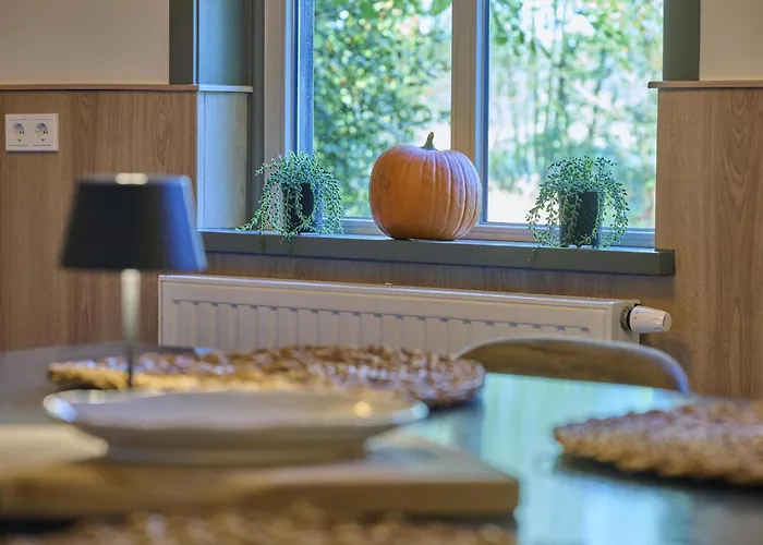 Nyaraló Bosbeertje 45 Erp