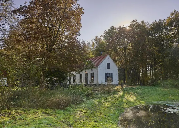 Nyaraló Bosbeertje 45 Erp